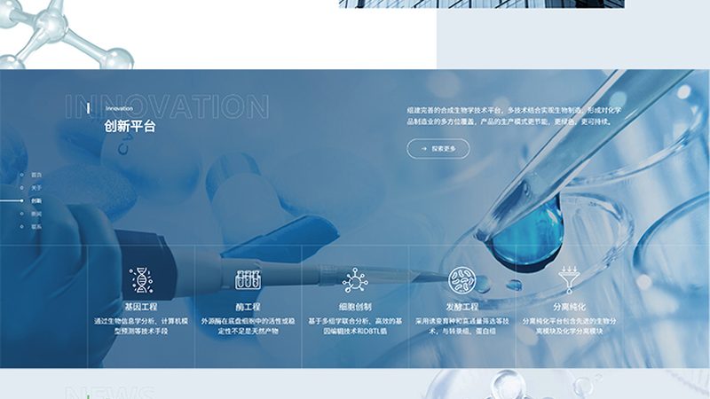 复合酶定制生产：注意事项与质量控制**