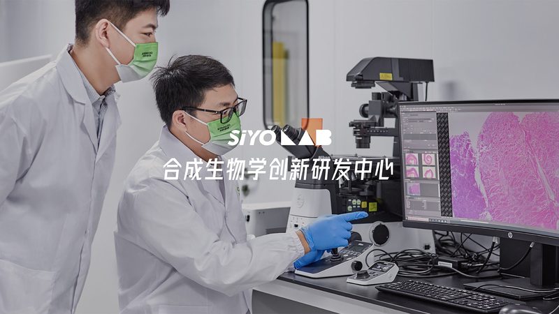 宠物抗体检测试剂盒：守护宠物健康的科技利器**