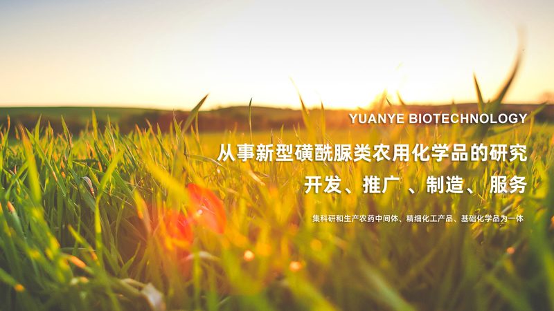 生物医药项目上市审批风险：揭秘那些隐藏的挑战