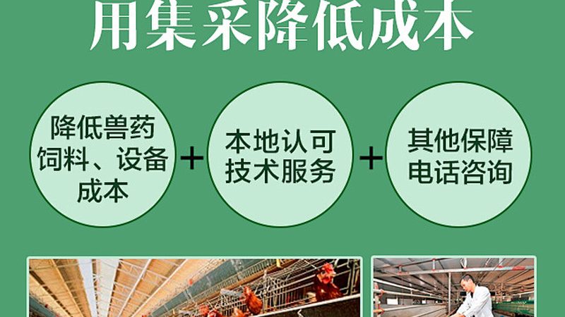 基因检测定制化服务：揭秘价格背后的价值
