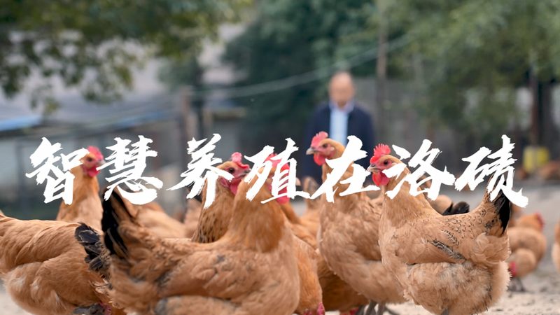 PCR检测设备：揭秘其背后的技术奥秘与应用场景