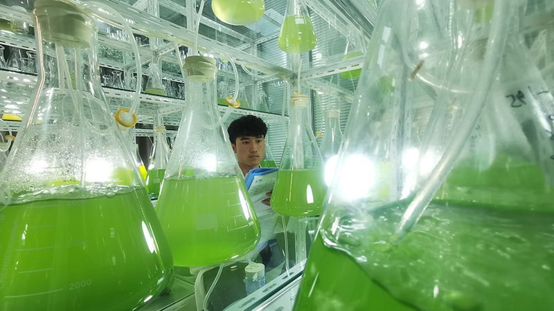 广州生物科技公司加盟，费用构成揭秘**